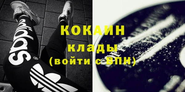 соль ск Алзамай