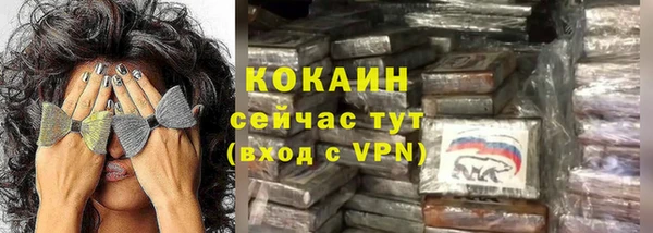 соль ск Алзамай