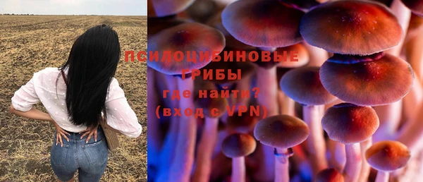 a pvp Абинск